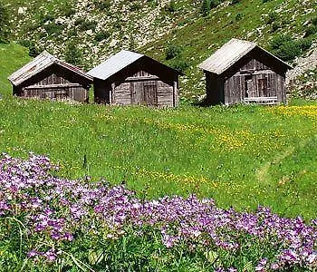 Hotel Alpenhof 4*