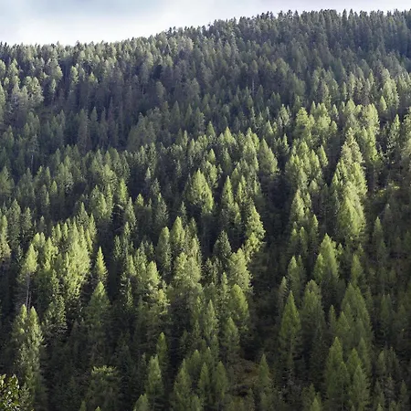 Alpenhof Hotel Sankt Jakob in Defereggen