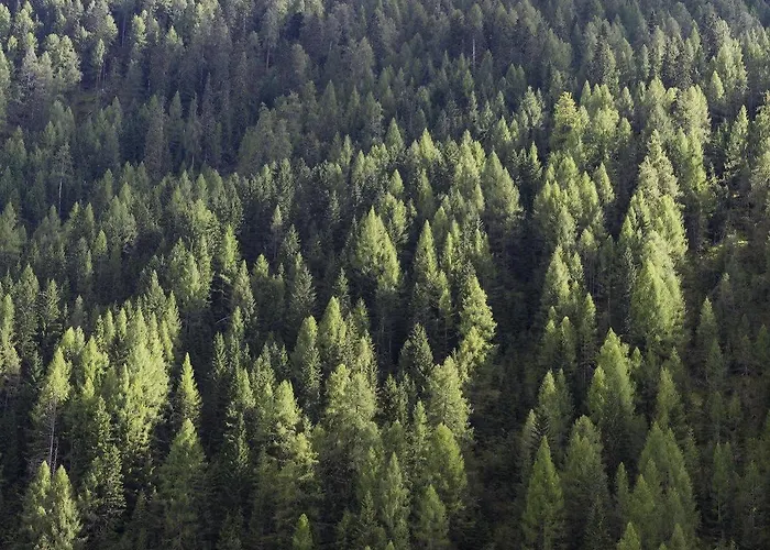 Alpenhof Hotel Sankt Jakob in Defereggen