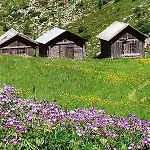 Otel Alpenhof 4*