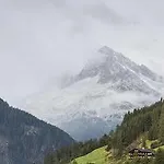 Hotel Alpenhof
